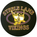 vikings vikings